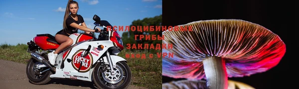 бошки Алексин