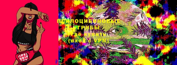 бошки Алексин