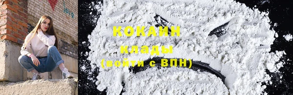 индика Абаза