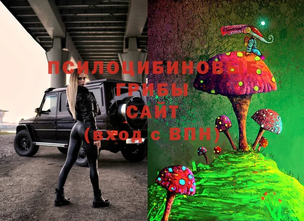 бошки Алексин